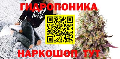 мдма Ачхой-Мартан