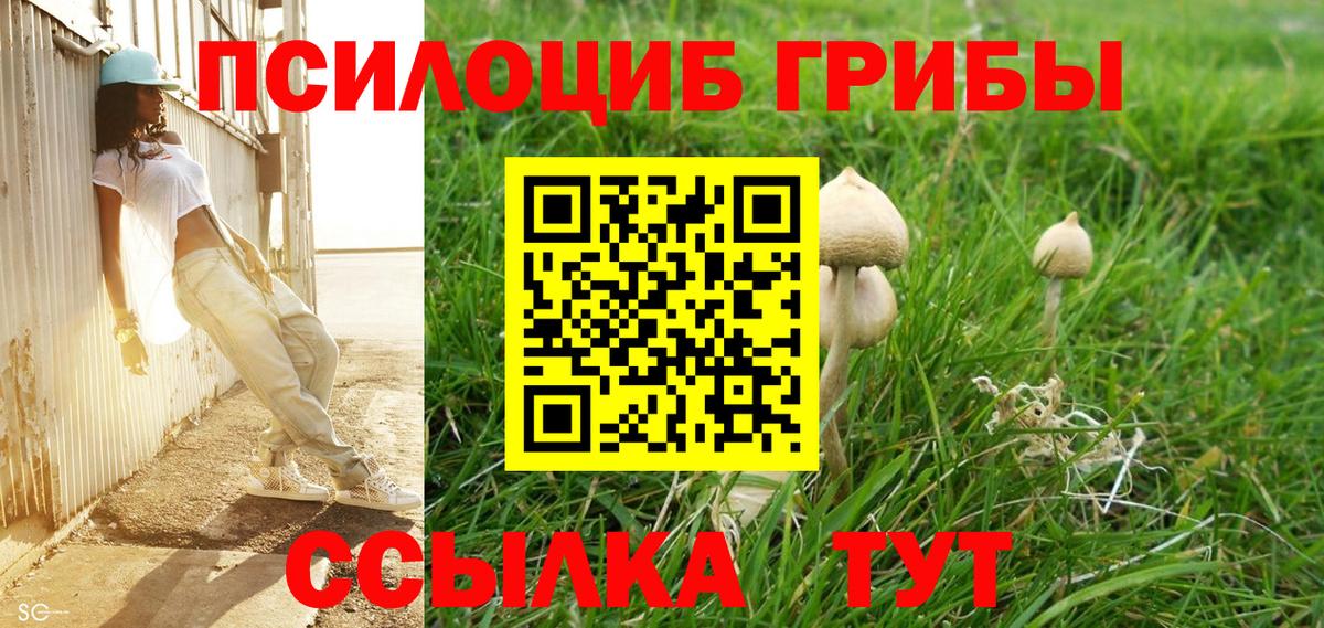 Псилоцибиновые грибы Cubensis  Вход с VPN  Губаха  дарнет шоп  Галлюциногенные грибы мицелий 