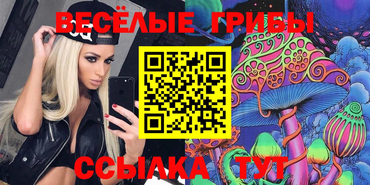 Галлюциногенные грибы мицелий Губаха